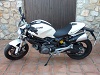 ducati monster